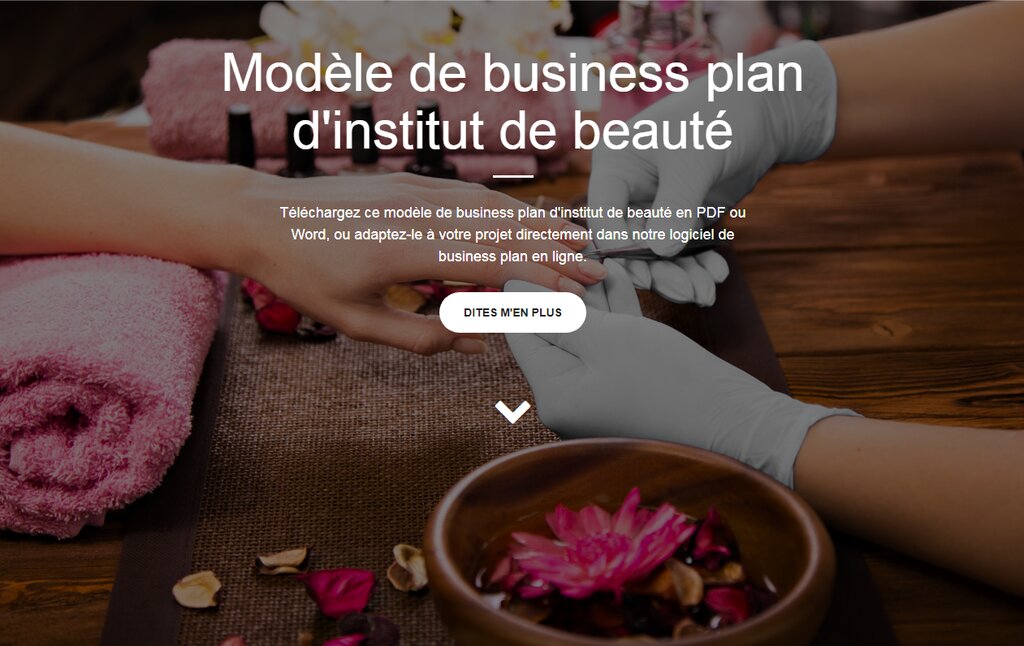 Présentation d'un model business plan